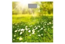 Весы напольные, электронные, поляна, Добрыня 