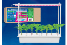 Светильник светодиодный для растений с подставкой 10W 24 кашпо спектр рассады и цвет IP40 UNIEL