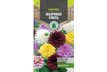 Семена Тимирязевский питомник цветы Георгина Махровая смесь 0,2 г