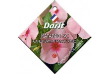 Семена дарит катарантус саншторм априкот хало 10шт