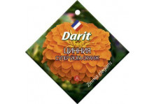 Семена Дарит Цинния Супер Йога Оранж 0,5г