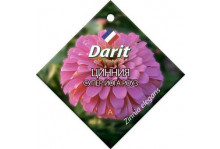 Семена Дарит Цинния Супер Йога роуз 0,5г