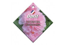 Семена Дарит Шток-роза Розовая замша 0,1г