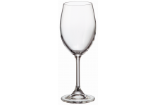 Набор стекло бокалов 250мл для красного вина 2шт Sylvia Bohemia